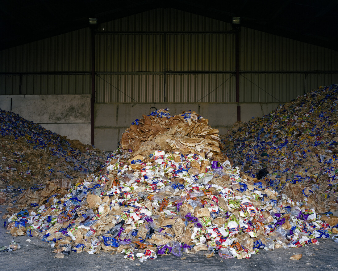 Andy Sewell, "Untitled" from the series Something Like a Nest, 2014