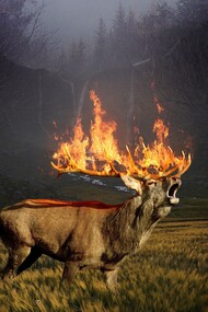 The agony of Mother Earth
