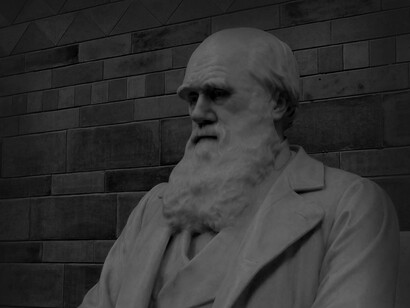 A pensive Charles Darwin statue