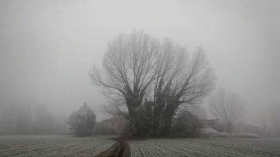 Marco Maria Zanin, Need Title, 2012, 80 x 120 cm, 53 x 80 cm, Edition 5 + 2AP