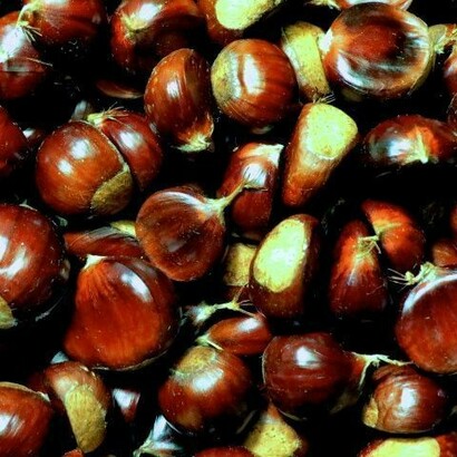 Castagne