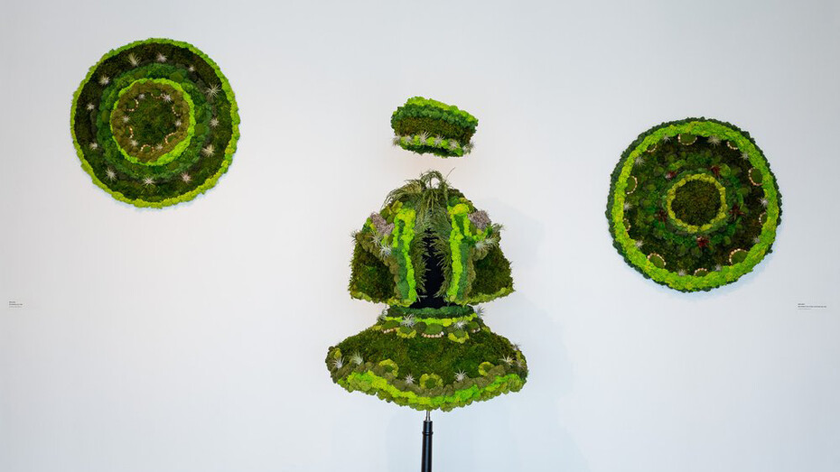 Melissa Meier, Nature's masquerade, exhibition view. Courtesy of Lois Lambert Gallery