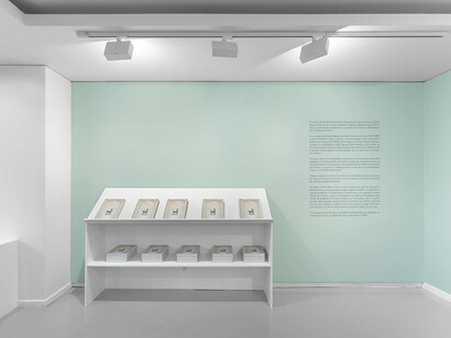 César, César, at first glance, vue de l'exposition. Avec l'aimable autorisation d'Almine Rech