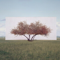 Tree... Courtesy of Yossi Milo Gallery