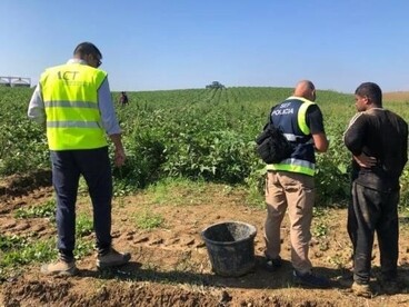 Combattere il caporalato significa non solo reprimere i responsabili, ma anche garantire lavoro dignitoso, trasporti adeguati, alloggi sicuri e pieno rispetto dei diritti umani fondamentali