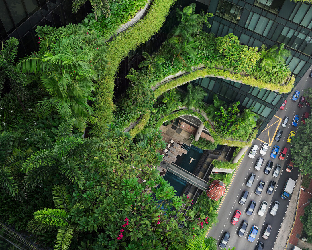 Lucas Foglia. Human Nature. Courtesy of Michael Hoppen Gallery