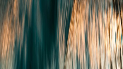 L’imaginaire