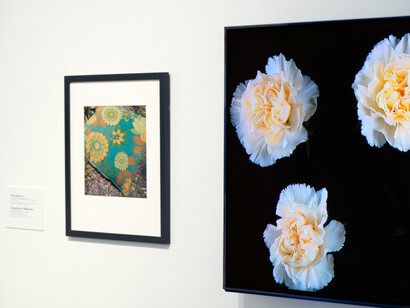 Déjà vu, ehxibition view. Courtesy of Dunedin Public Art Gallery