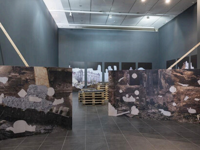 Gayle Chong Kwan, Exhibition view. Courtesy of Alberta Pane gallery