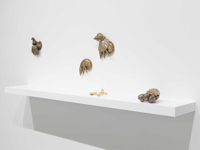 Amalia Pica, rock comb. Courtesy of Brighton CCA