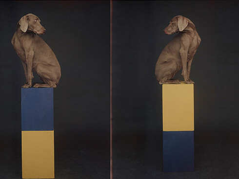 Art Purposes. Courtesy of Bowdoin Museum