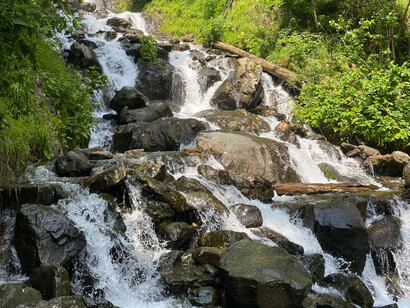 A natureza é carregada de magia