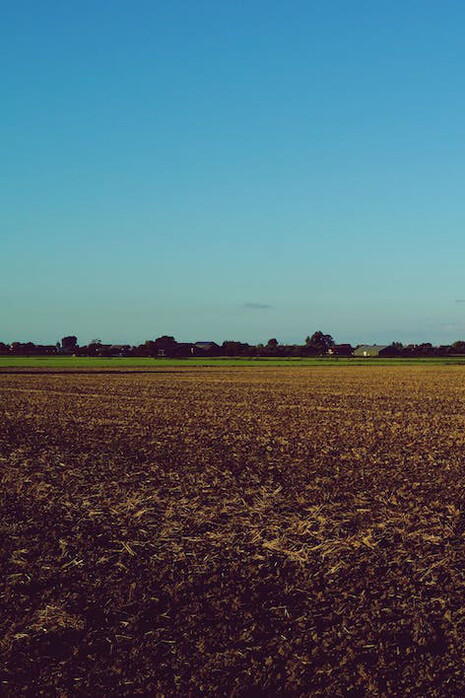 Campagna. Quanti ricordi, quanto mare ed energia, quanto sole e luce. A Comacchio si andava per mangiare le anguille, attraversando un Delta che sapeva di magia. Con tanta voglia di spensieratezza e leggerezza, quelle vere