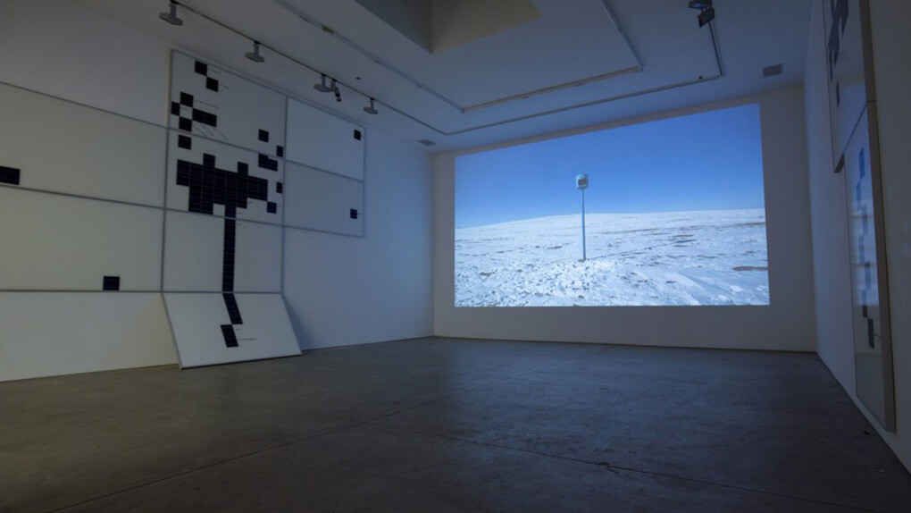 Hibernating Tattoos Guarding the Sweat of the Sun. Courtesy of Richard Taittinger Gallery