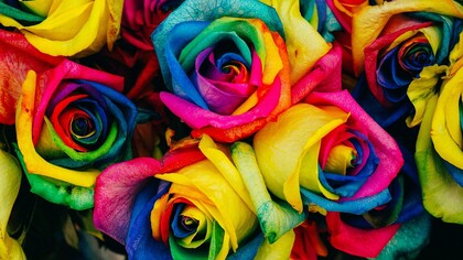 When love dawns then fragility becomes strength 
