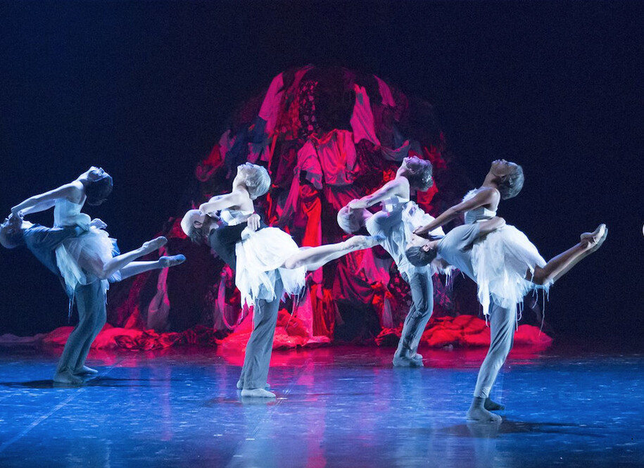 Il lago dei cigni. Foto Gabriele Orlandi