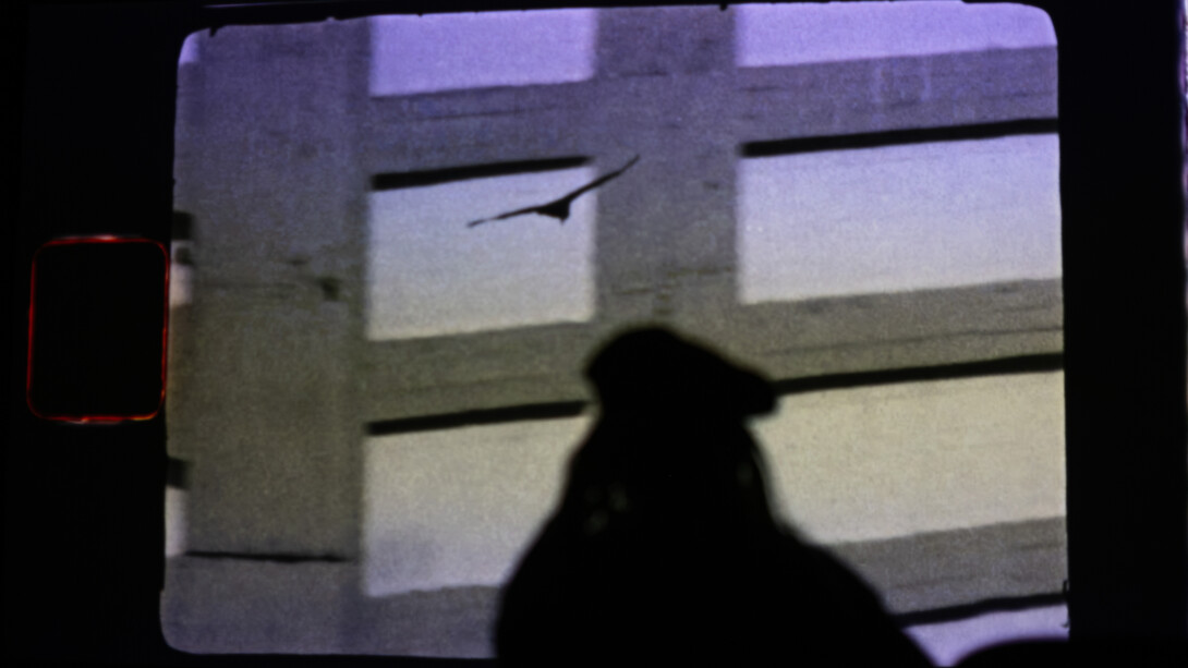 Luiz Roque, Geier, ausstellungsansicht. Mit freundlicher genehmigung der Pinacoteca