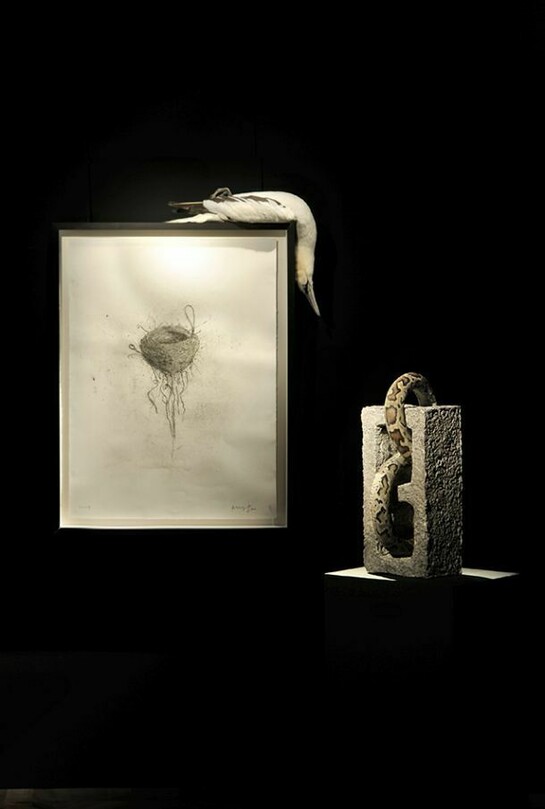 Polly Morgan, Foreground: One Can Only Hope, 38.6 x 17.3 x 15 cm, Stuffed snake, fiberglass and Jesmonite. Background: Gannet, 100 x 90 x 22 cm, American Jabiru embalmed, paper and ash