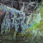 Nicole Irene Anderson, Lace Lichen and the onlooker (detail). Courtesy of Johansson Projects