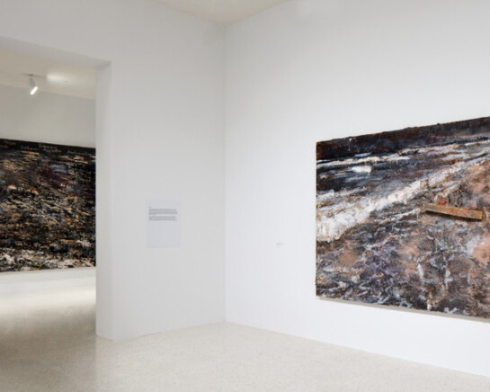 Regeneration Series, Exhibition view. Courtesy of NSU Art Museum