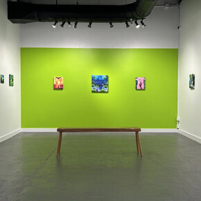 Navi Naisang, Phantom limb, exhibition view. Courtesy of Tyger Tyger Gallery