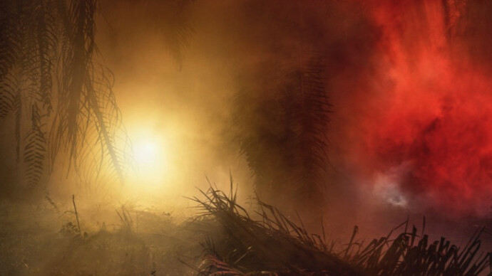 Frankenstein's Birthday Party. Courtesy of Hosfelt Gallery