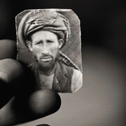 The Museum of Fine Arts