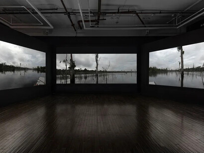 Janet Biggs, Path of totality, exhibition view. Courtesy of Cristin Tierney Gallery