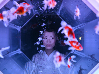Acquario di Hidetomo Kimura
