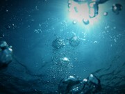 L’acqua sgorga arrivando da chissà dove, e in un punto si manifesta, esce dal ventre della terra come noi da quello della nostra mamma, e prende il proprio nome