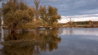 Alluvione. Afrin, una giovane sfollata dal fiume Brahmaputra, simbolo della crisi climatica e dei rifugiati climatici in Asia