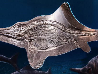 Prehistoric Times and Dinosaurs. Courtesy of Haus der Natur 