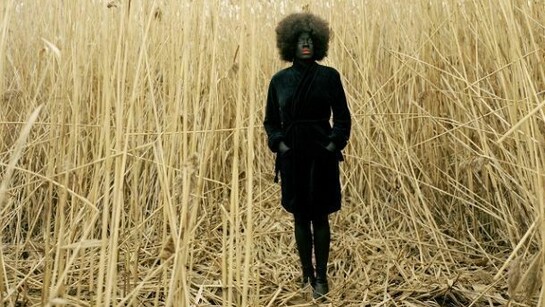 Simmons Xaviera, One Day Standing, Rubell Family Collection