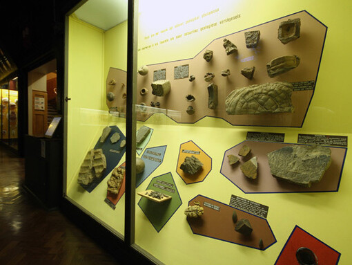 Geology, exhibition view. Courtesy of National Museum Bloemfontein