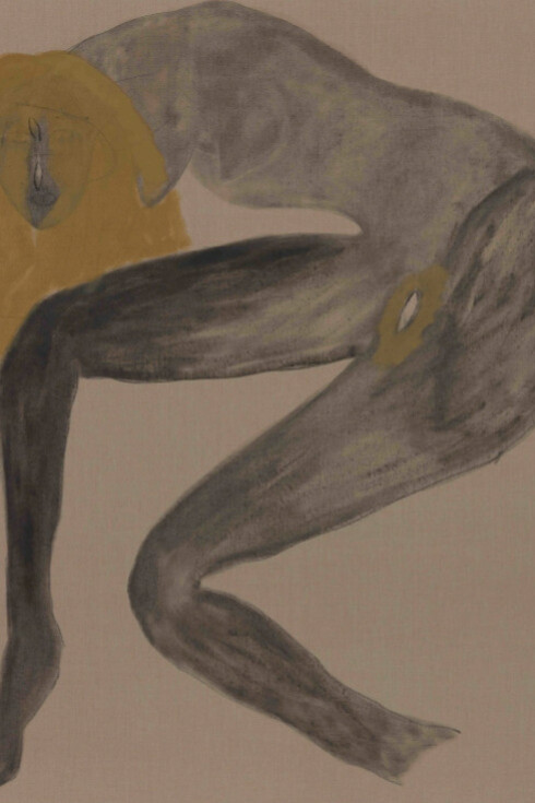 Pussy, King of the Pirates. Courtesy of Maccarone