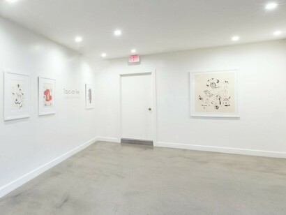 Tasya van Ree, Exhibition view. courtesy of Eric Buterbaugh Gallery
