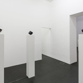 Agnieszka Kurant, Variantology, exhibition view. Courtesy of Lia Rumma Gallery