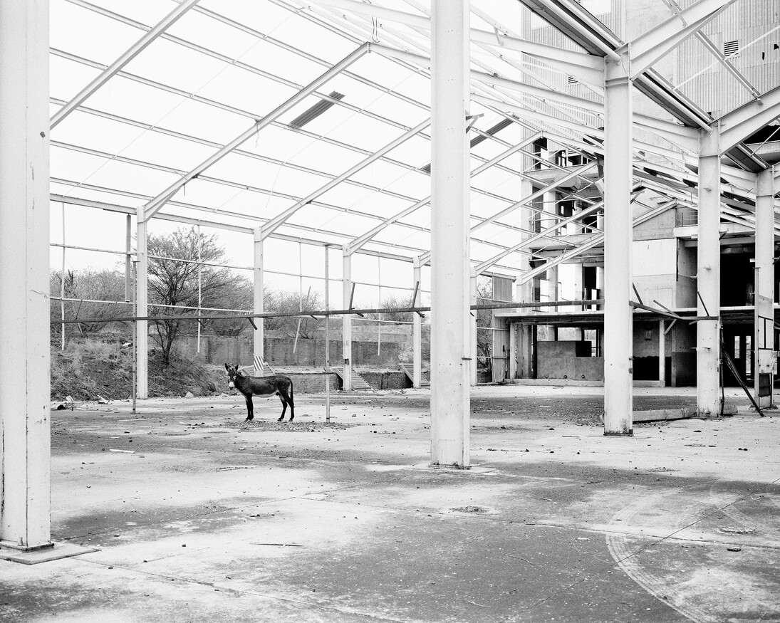 Jo Ractliffe (South African, born 1961)
Donkey, Pomfret Asbestos Mine, 2011
From the series The Borderlands
Inkjet print, 2015
On loan from the artist, courtesy Stevenson, Cape Town and Johannesburg
© Jo Ractliffe. Courtesy of Stevenson, Cape Town and Johannesburg