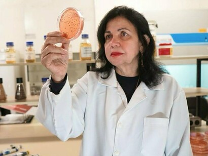Mariangela Hungria observa amostras utilizadas no desenvolvimento de tecnologias baseadas em bactérias promotoras do crescimento vegetal. A microbiologia do solo tornou-se uma aliada da agricultura regenerativa e da segurança alimentar. O trabalho com microrganismos exige precisão e anos de investigação científica. As tecnologias desenvolvidas pela pesquisadora são utilizadas em milhões de hectares de lavouras brasileiras