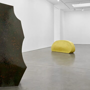 Richard Deacon, Just looking, exhibition view. Courtesy of Galerie Thomas Schulte