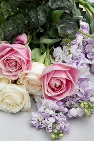 Le rose facevano sfoggio della loro corolla