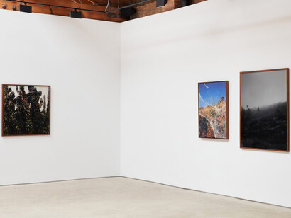 Shaniqwa Jarvis, If you could see my thoughts, you would see your faces, exhibition view. Courtesy of Anthony Gallery