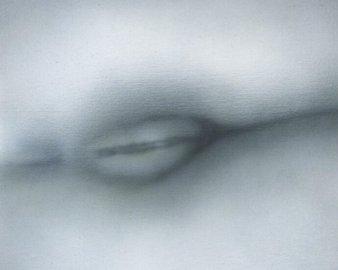 Betty Tompkins, Pussy Painting #15, 2012, Acrylic on Canvas, 40,6 x 40,6 cm, copyright Betty Tompkins, courtesy the artist and Rodolphe Janssen, Brussels, private collection.