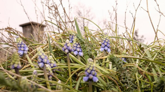 Resanita. Courtesy of Kunst Haus Wien