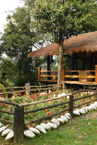 Outdoor lounge