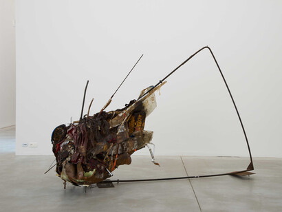 Gorgo #25, 2012, veduta dell’installazione presso M Museum, Leuven (Belgio) © Dirk Pauwels