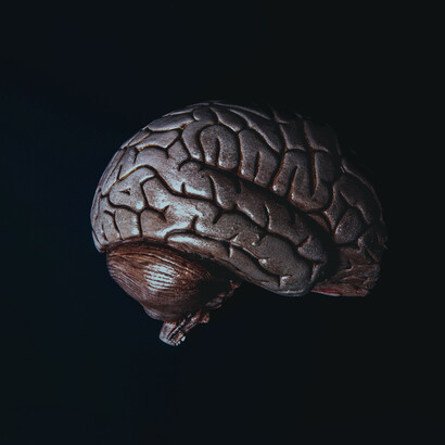 Guessing brain: what we think is a narration that our brain tells us