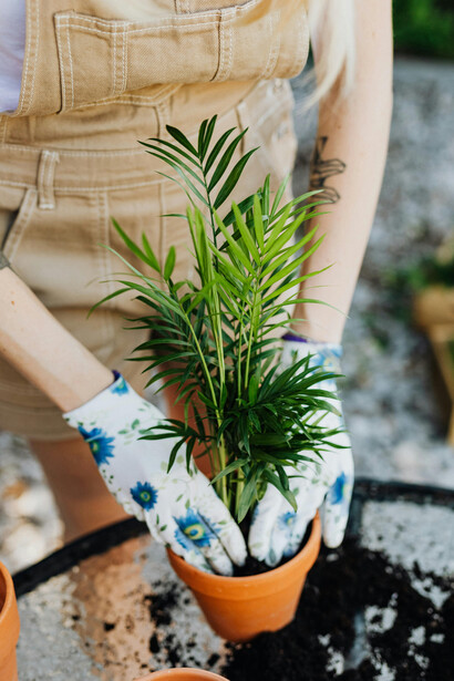 A close-up captures hands placing a plant into soil, surrounded by simple gardening tool