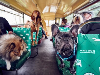 Los dueños acompañan a sus mascotas en esta simpática ruta