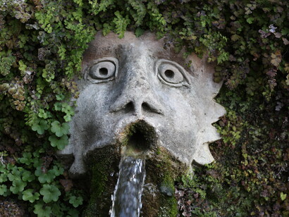 Particolare con mascherone